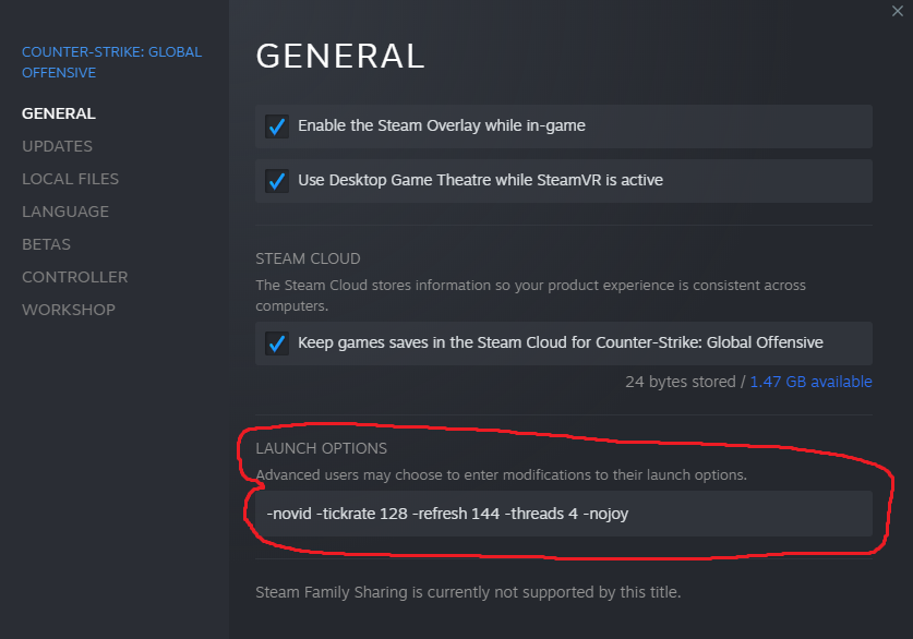 launch options steam